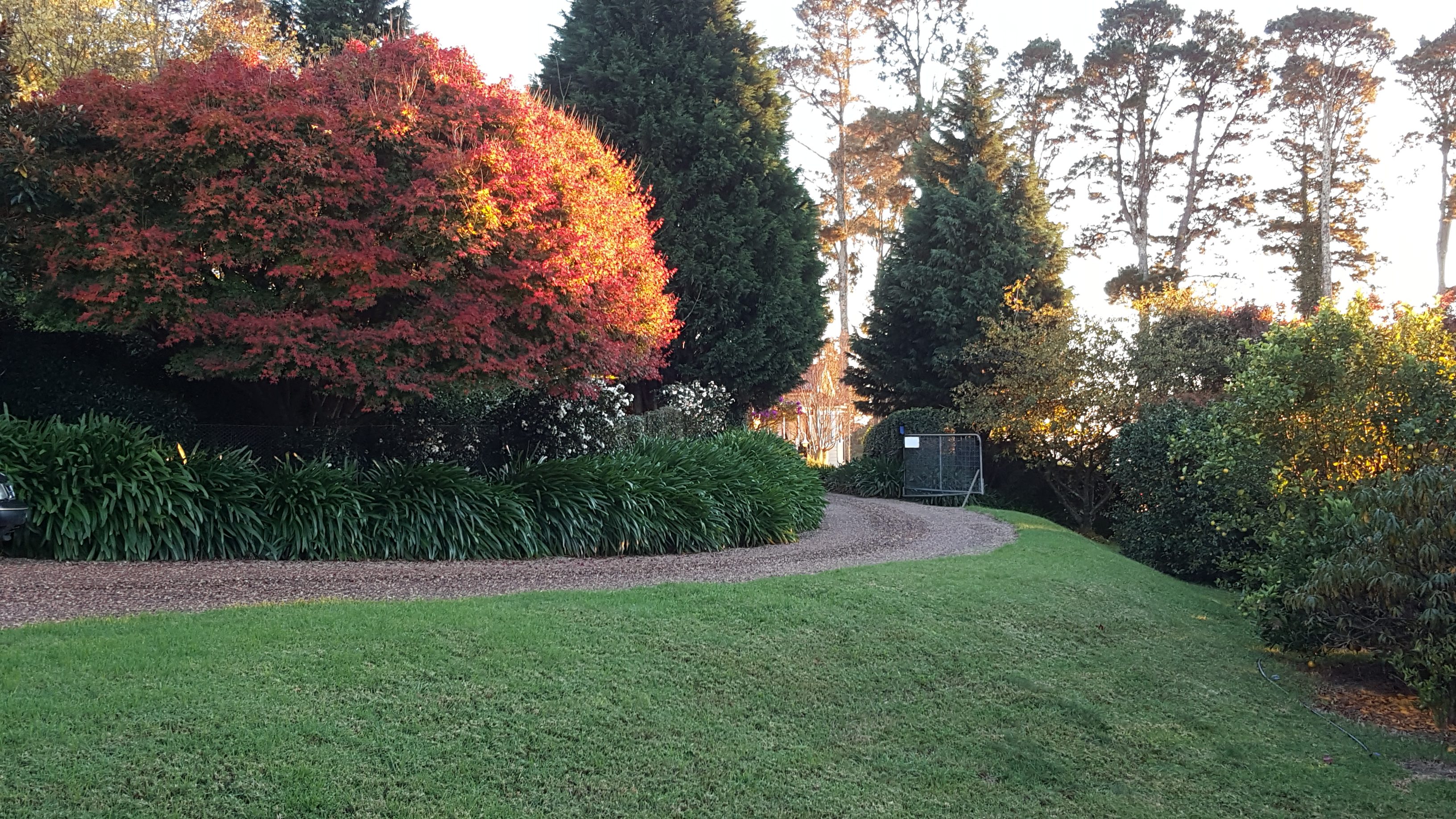 Beyond Eden's Gate - sloping lawn